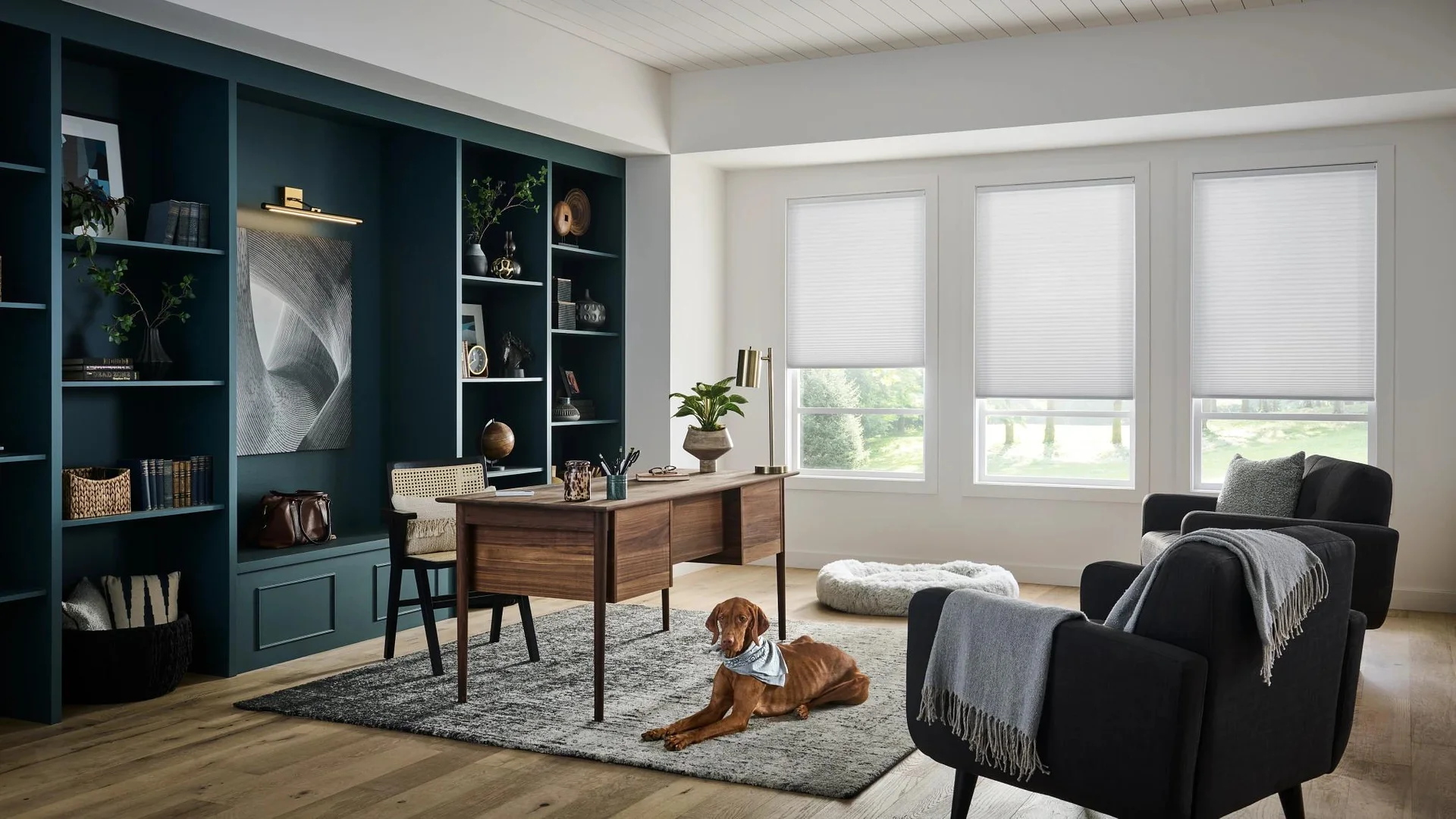 Alta cellular fabric installed at windows in a supplier example.