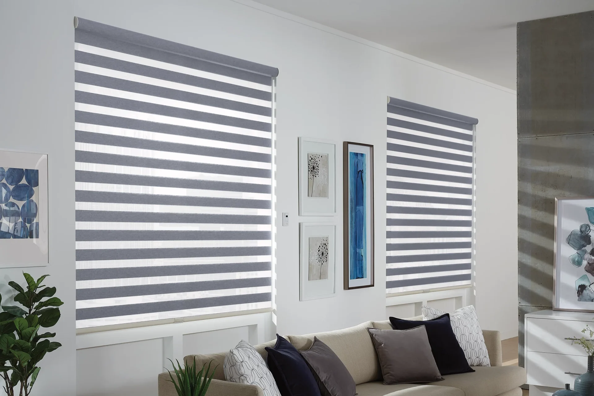 Graber zebra bands shown across windows.