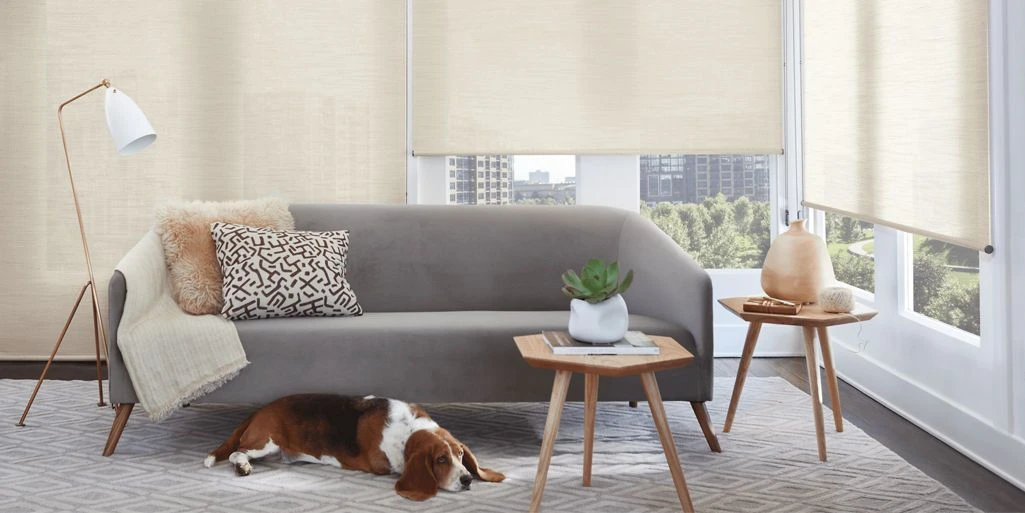 Alustra Collection