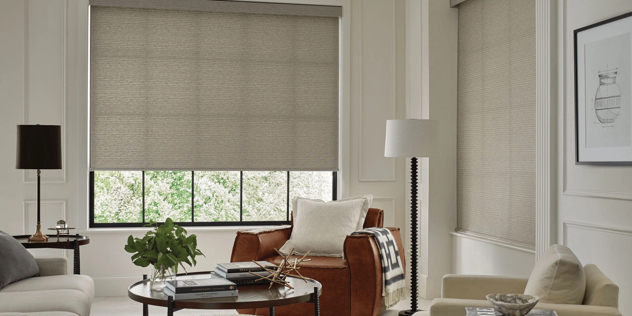 Hunter Douglas Designer Roller Shades at the window.