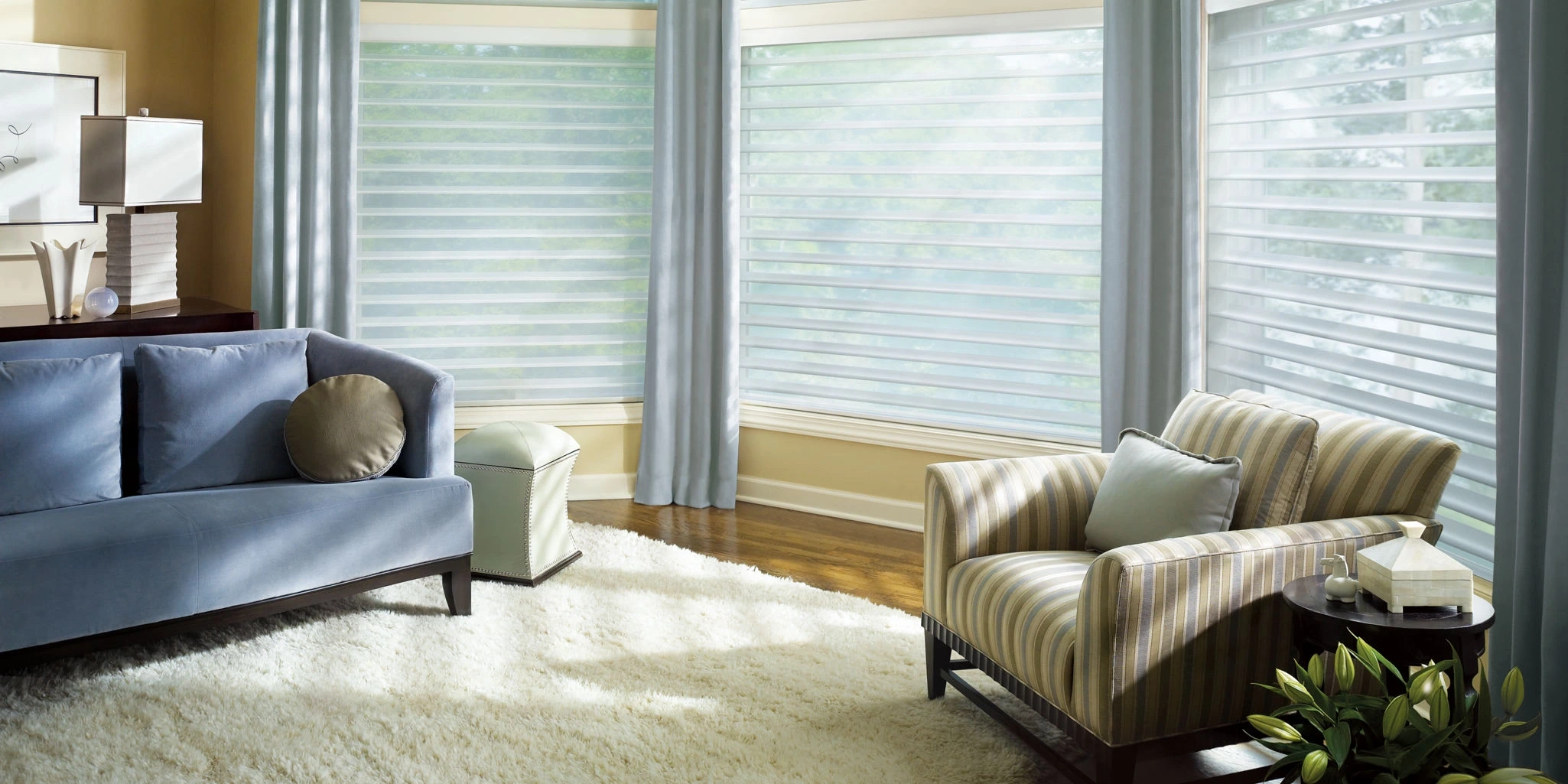 Hunter Douglas Silhouette® Window Shadings at the window.